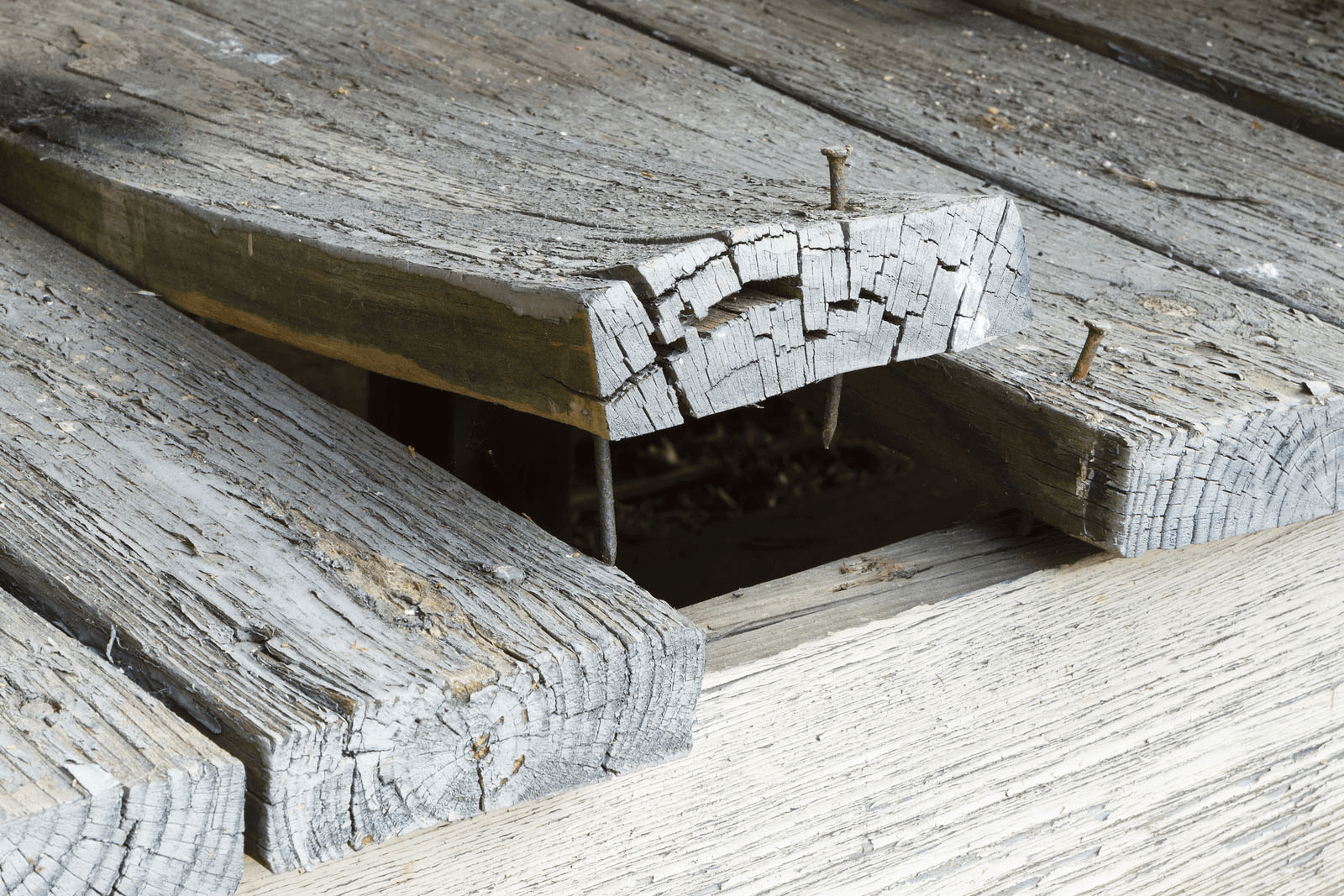 5 Signs your Deck Needs a Professional Inspection or Repair